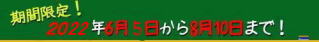 期間限定！ 2007年6月1日から8月10日まで！